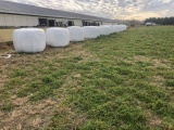 5 X 5 wrapped round bales of 6th cutting Alfalfa
