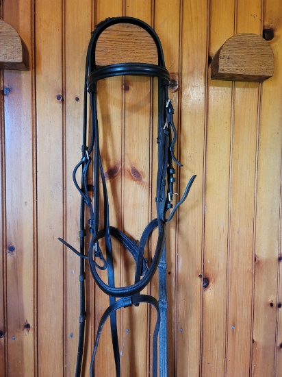 Kieffer reins and bridle