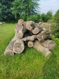 Saw logs