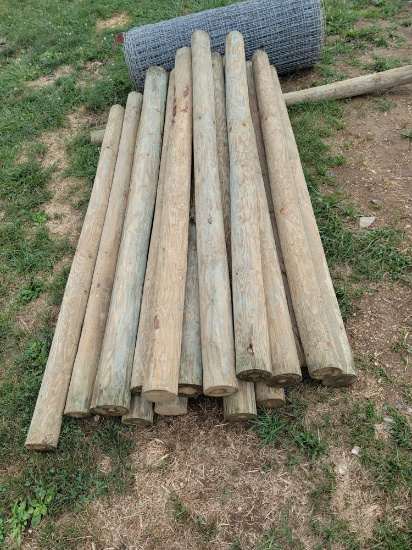 Treated wood fence posts. 19x$