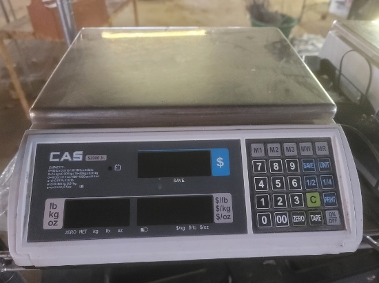 CAS S2000 Jr. Scales.