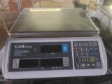 CAS S2000 Jr. Scales.