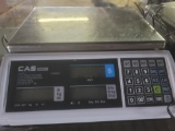 CAS S2000 Jr. Scales.