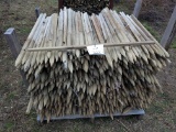 Lot of 3' tomato stakes