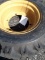 10.5 - 18 MPT brand new tire on rim