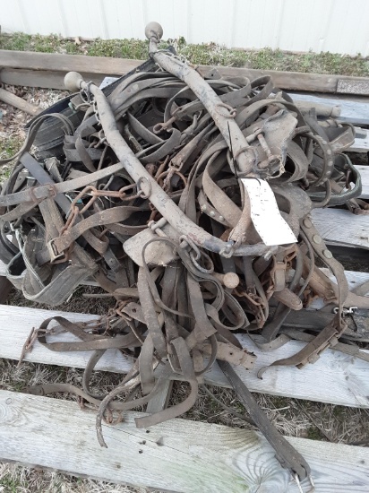 Antique harness with Hames