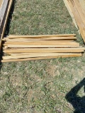 Lot of 25 locust 4ft tomato stakes