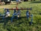 International 3pt 2 row cultivator