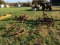 Set of 2 row cultivator for Farmall 300/350