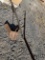 Walk behind plow