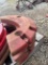IH rear wheel weights