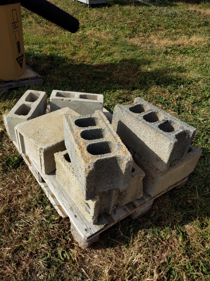 Pallet of cement blocks (8)