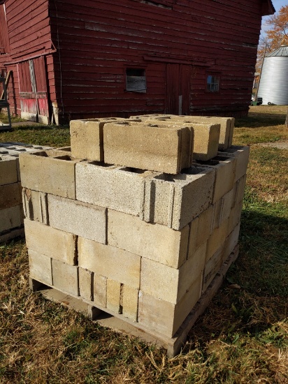 Pallet of cement blocks