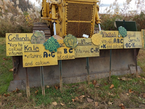 Vegetable signs
