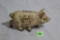 Buy at Norco & Save Cast Iron Pig Bank