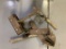 clamps