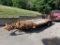 1997 Hudson trailer with ramps, VIN - 10HHS1405W1000002