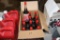 (12) 16 oz. Red Line Two- Cycle Kart oil