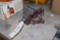 Home 203 1/2 swivel bench vise