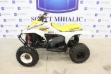 Polaris Trailblazer 250