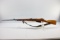 Mosin Nagant Model 1945r M44, cal. 7.62x54MM