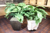 (2) New Birdnest Fern Faux Plants (Pegasus)