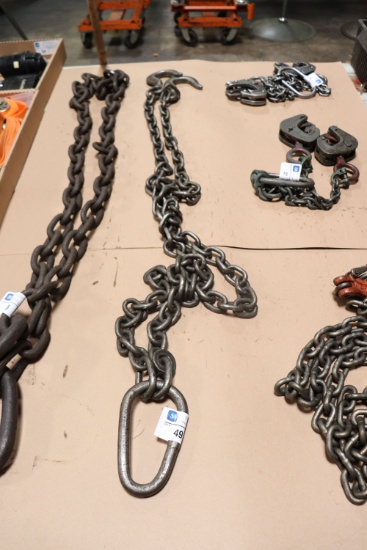 Industrial chain with hook