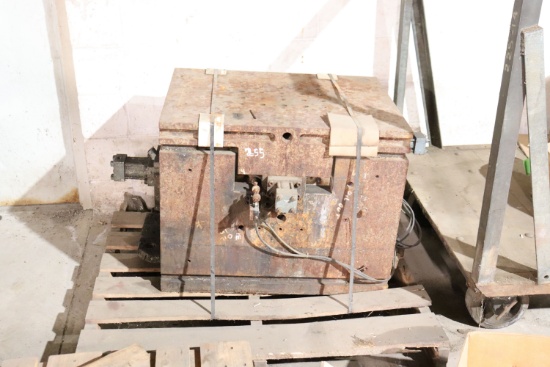 mold