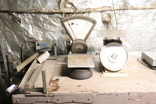 Scales & sealer