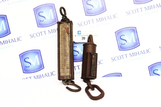 (2) Hanging Spring Scales