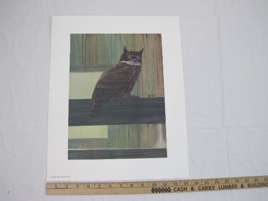 Owl Print, National Wildlife Federation 1986, Blinks, 13 3/8" x 16 5/8"