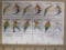One block of 12 13-cent 1976 Olympics US Stamps, #s1695-1698