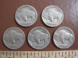 Five Buffalo Indian Head nickels: 1926, 1937 and others