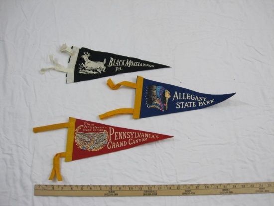 Lot of Pennsylvania Souvenir Pennant Flags including PA Grand Canyon, Allegany State Park, and Black