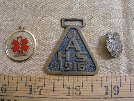 Lot includes one State of Marylad Public Schools Test 2 pin, one Mitrl Valve Implant pendant AND one