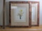 Two framed Botanical Prints, 24.5 x 20 inches