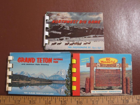 Three small souvenir photo booklets on Grand Teton National Park and Jackson Hole, Wyoming, "Big