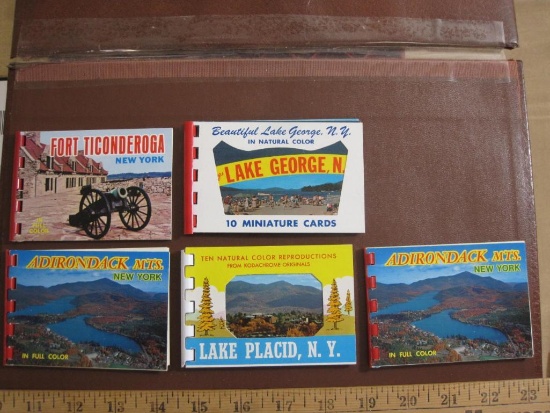Lot of 5 small color New York State Souvenir Photo booklets, including 2 identical Adirondack