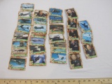 Lot of Desert Storm Trading Cards, 1991 Topps, 2 oz