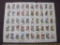 Sheet of 50 2001-2010 20 cent State Birds and Flowers stamps, #s 1953-2002 - sheet is stuck to a