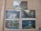 Lot of 5 Vintage Illinois Postcards including Illinois State Park and more