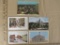 Lot of 5 vintage Colorado postcards of Denver (4) and Pueblo (1). Several are unused, but there are