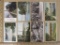 Lot of 8 vintage postcards of Lake Geneva, Wisconsin, postmarked from 1910 to 1956.