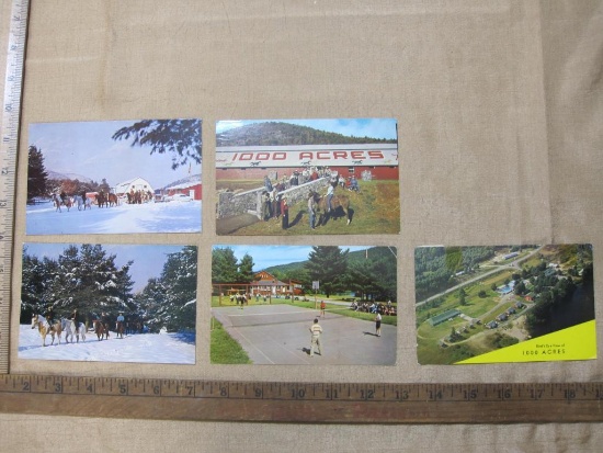 Postcards from Stony Creek N.Y including 100 acre ranch
