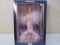 Barbie 2002 Collector Edition Doll, Barbie Collectibles, SEALED, 2001 Barbie Collectibles/Mattel, 1