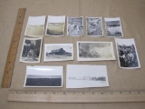Lot of 11 Vintage Black and White Photos including desert scenes featuring cacti and more