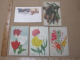 Vintage Postcard Lot includes Pine Cones, New Year's Greetings and Tulips and Other Flowers
