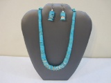 Beautiful Turquoise and Shell Necklace and Earring Set, 4 oz