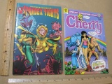Two Comic Books, Lost Cause Productions Spandex Tights Vol. 1 No.5 1995 and Adult Comic Kitchen Sink