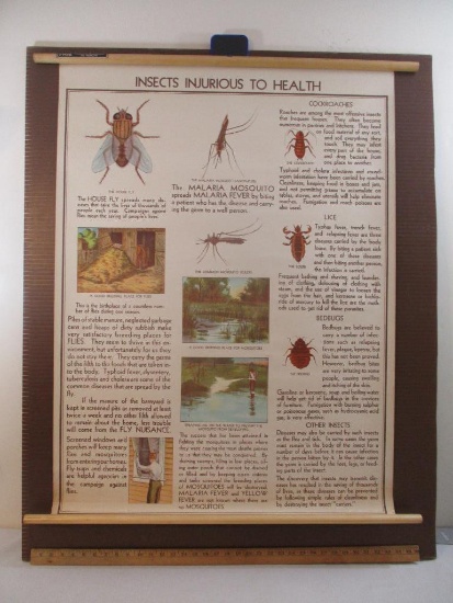 Vintage Fabric Medical Poster FH 16: Insects Injurious to Health, 32 1/4" x 41 1/2", Copyright 1938